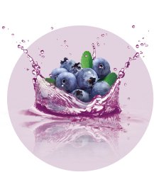 Blueberry ice - vapewholesaleeurope